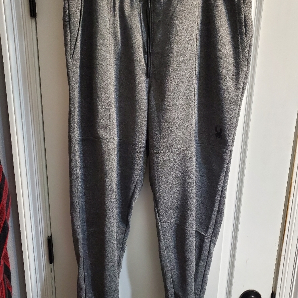 Spider Gray Sweatpants